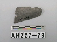 藏品(石矛殘件)的圖片